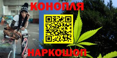сатива Будённовск
